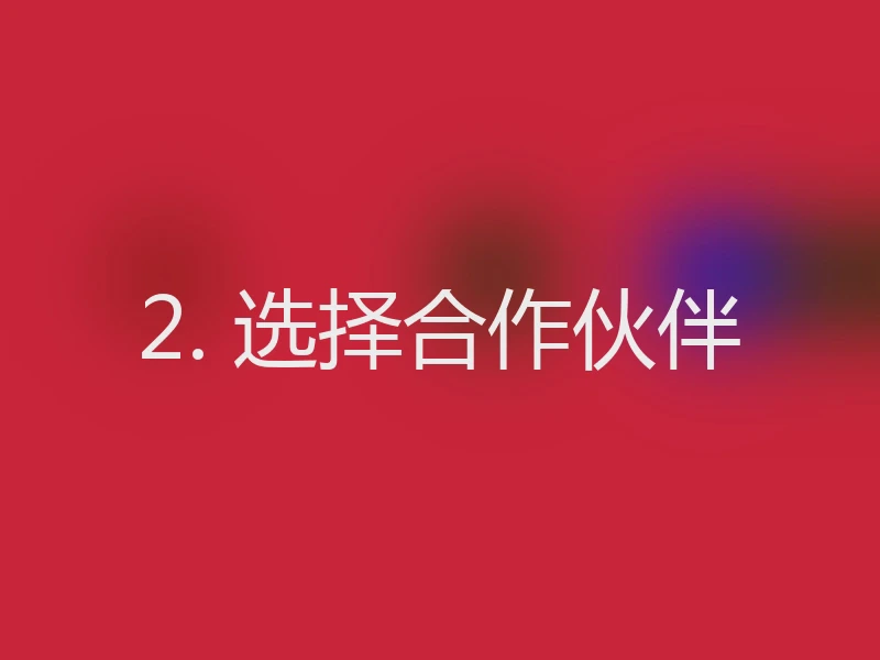 2. 选择合作伙伴
