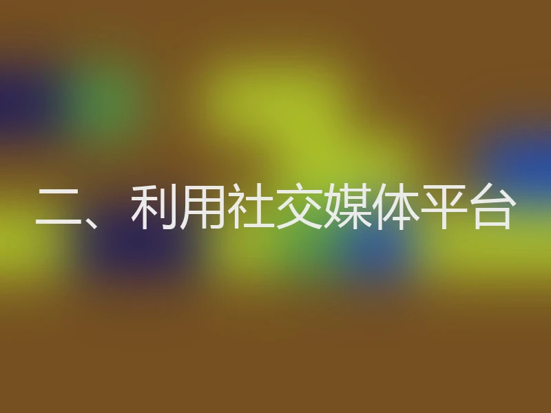 二、利用社交媒体平台