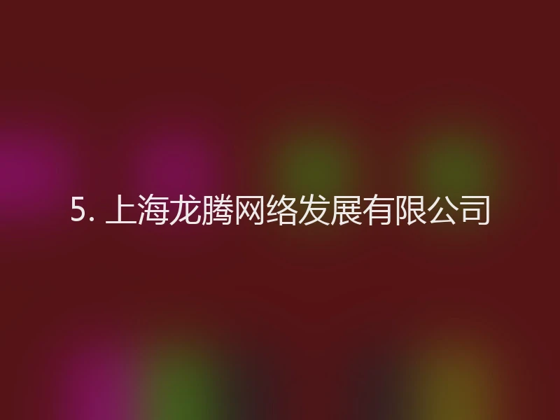 5. 上海龙腾网络发展有限公司
