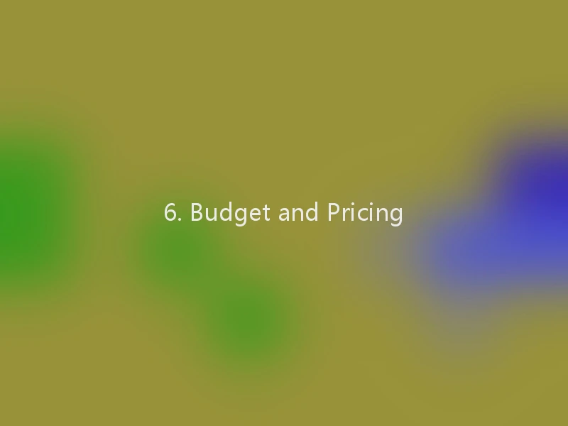 6. Budget and Pricing