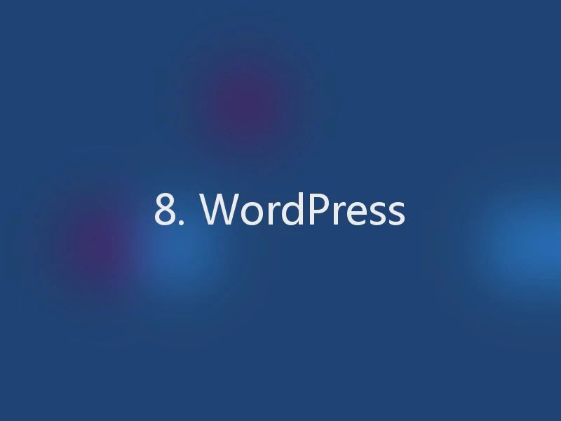 8. WordPress