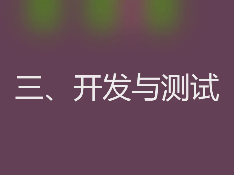 三、开发与测试