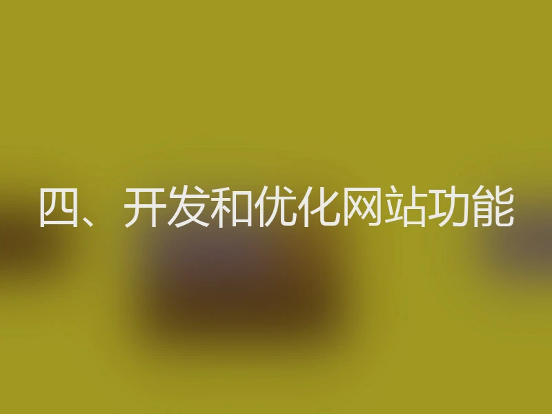 四、开发和优化网站功能