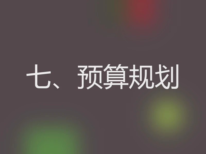 七、预算规划