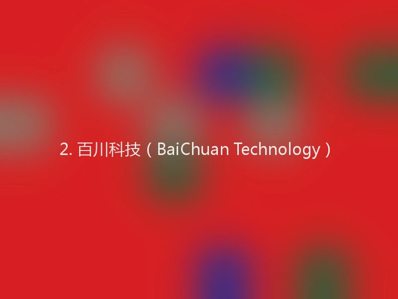 2. 百川科技（BaiChuan Technology）