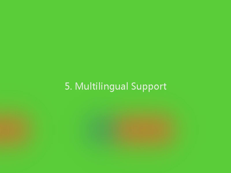 5. Multilingual Support