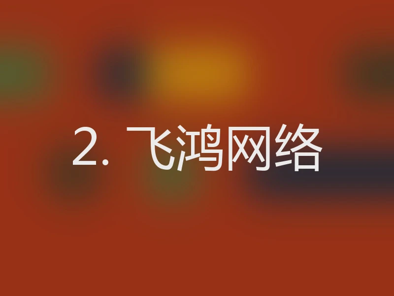2. 飞鸿网络