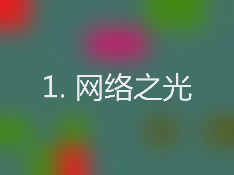 1. 网络之光