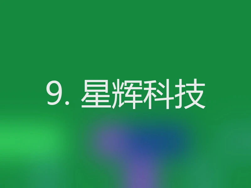 9. 星辉科技