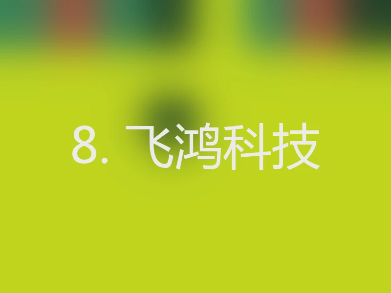 8. 飞鸿科技