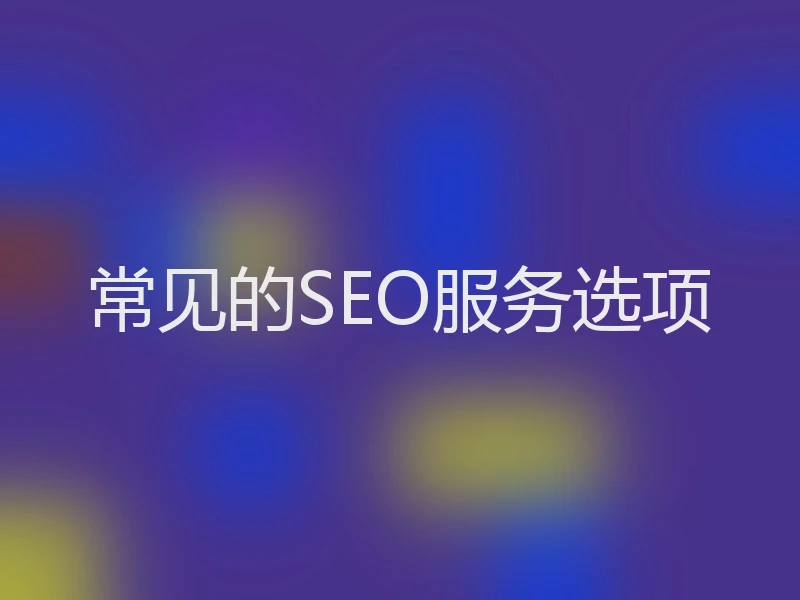 常见的SEO服务选项