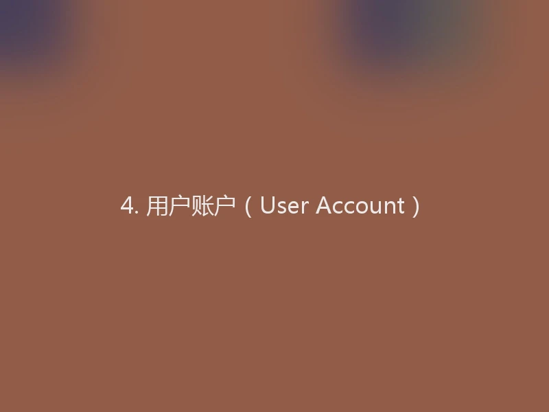 4. 用户账户（User Account）