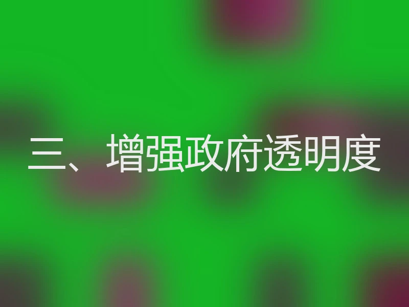 三、增强政府透明度
