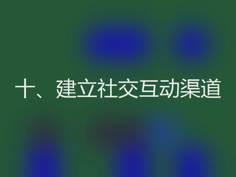 十、建立社交互动渠道