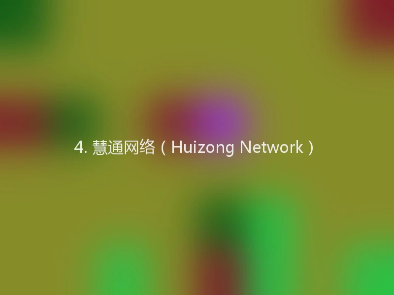 4. 慧通网络（Huizong Network）