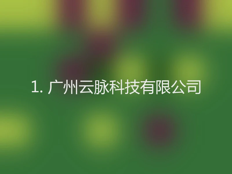 1. 广州云脉科技有限公司