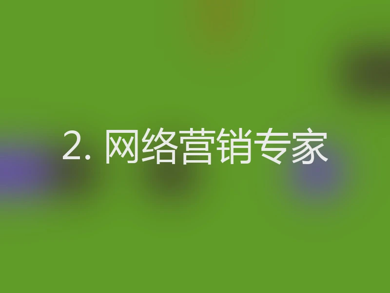 2. 网络营销专家