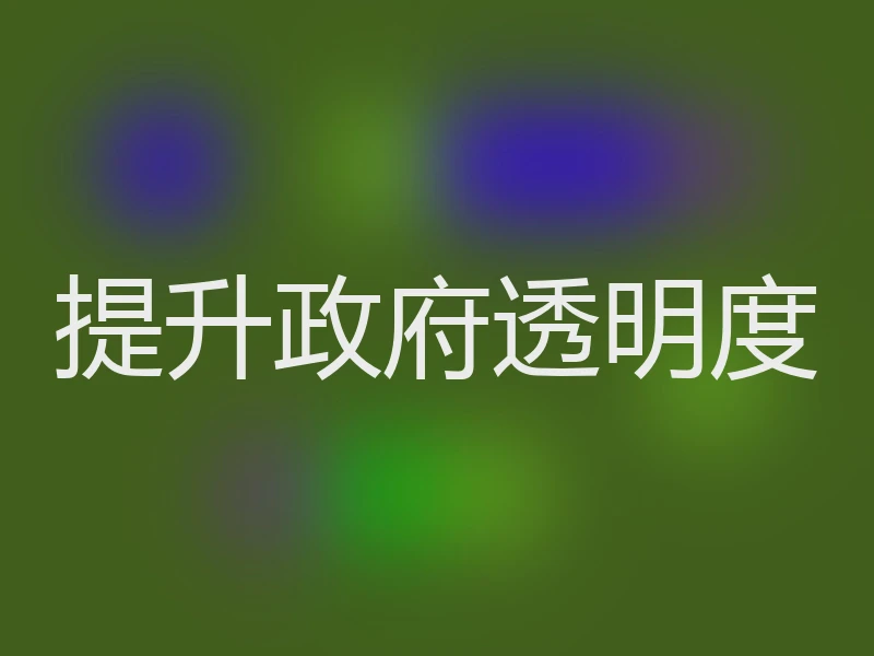 提升政府透明度