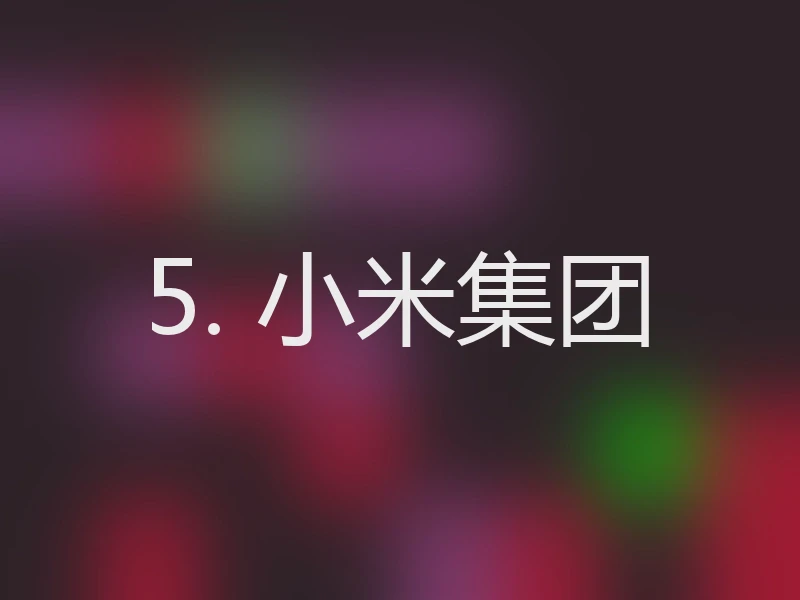 5. 小米集团