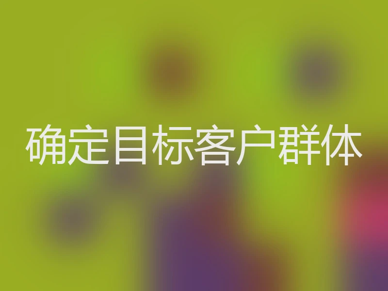 确定目标客户群体