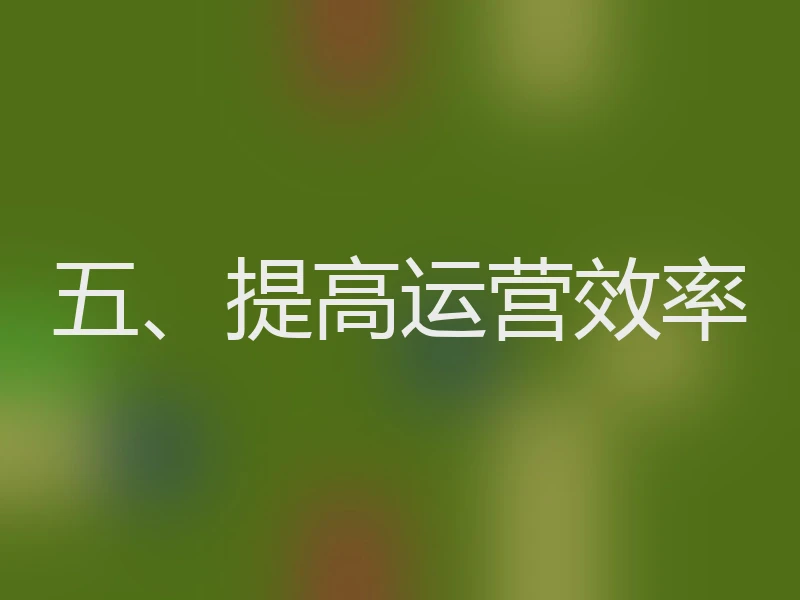 五、提高运营效率