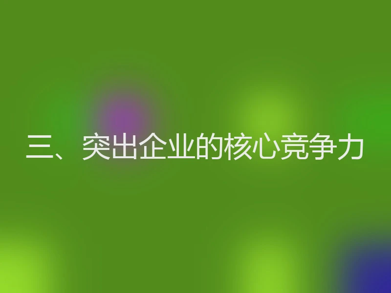 三、突出企业的核心竞争力