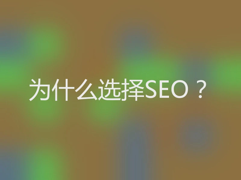 为什么选择SEO？