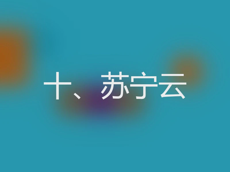 十、苏宁云
