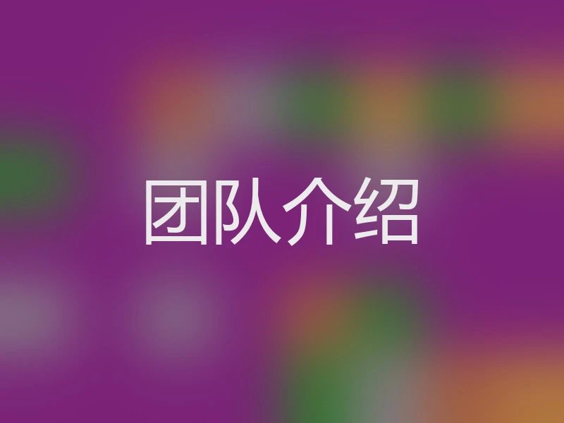 团队介绍