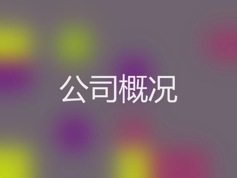 公司概况