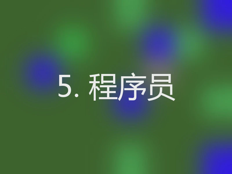 5. 程序员