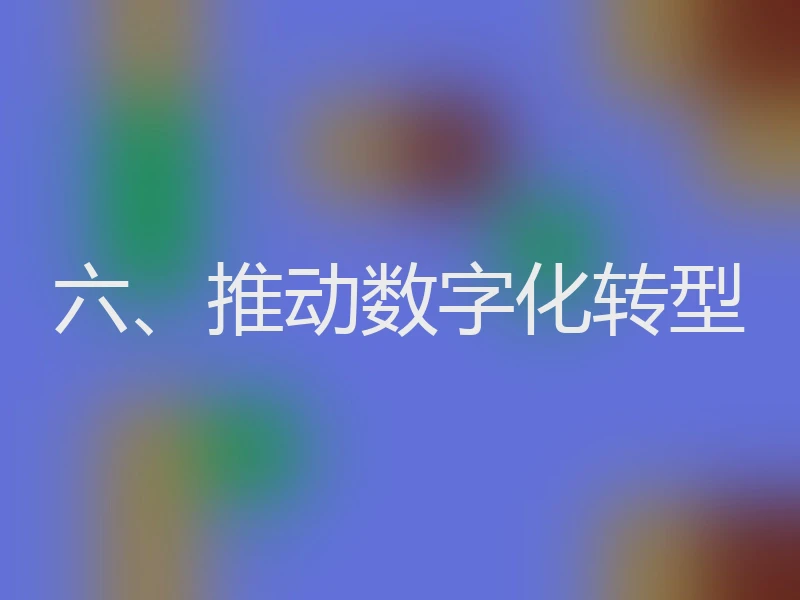 六、推动数字化转型