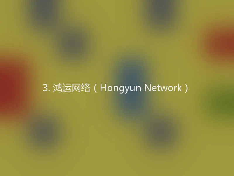 3. 鸿运网络（Hongyun Network）