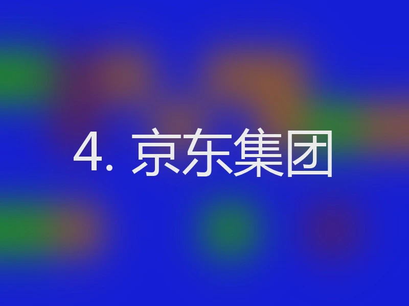 4. 京东集团