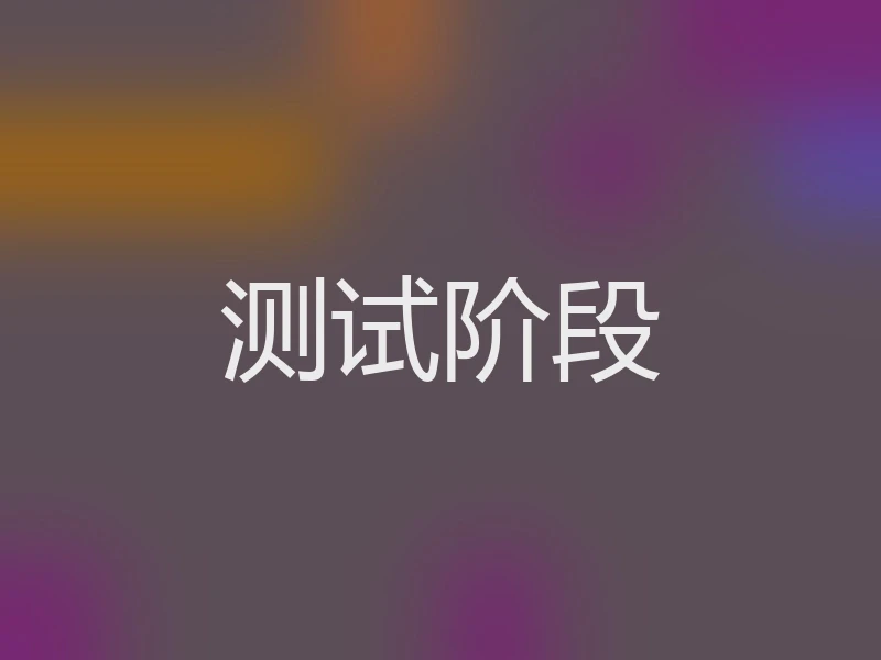 测试阶段