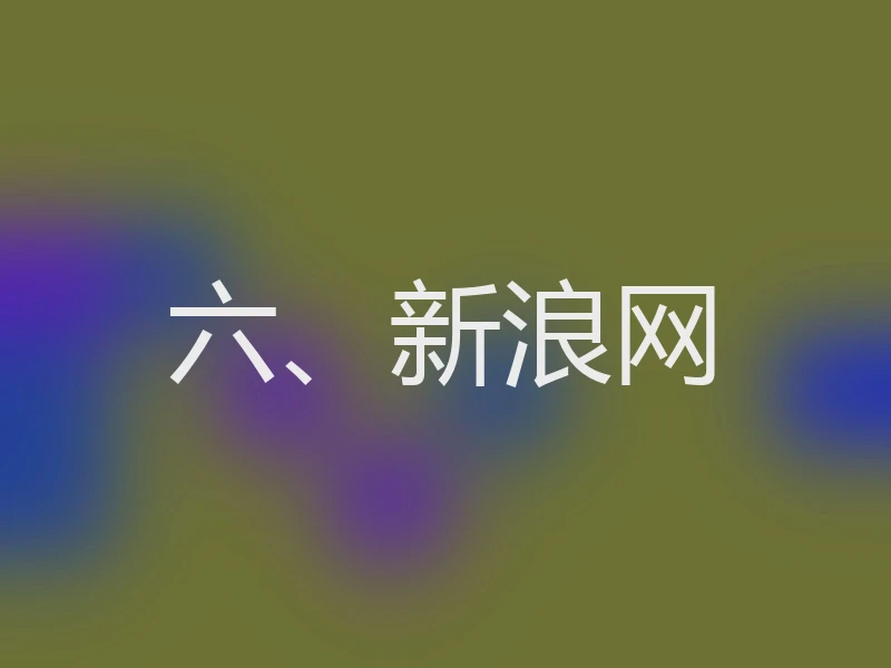 六、新浪网