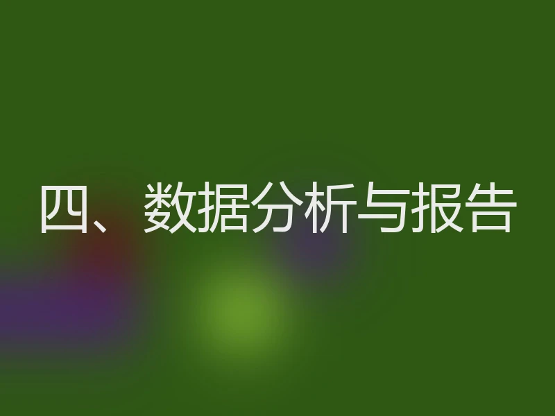 四、数据分析与报告