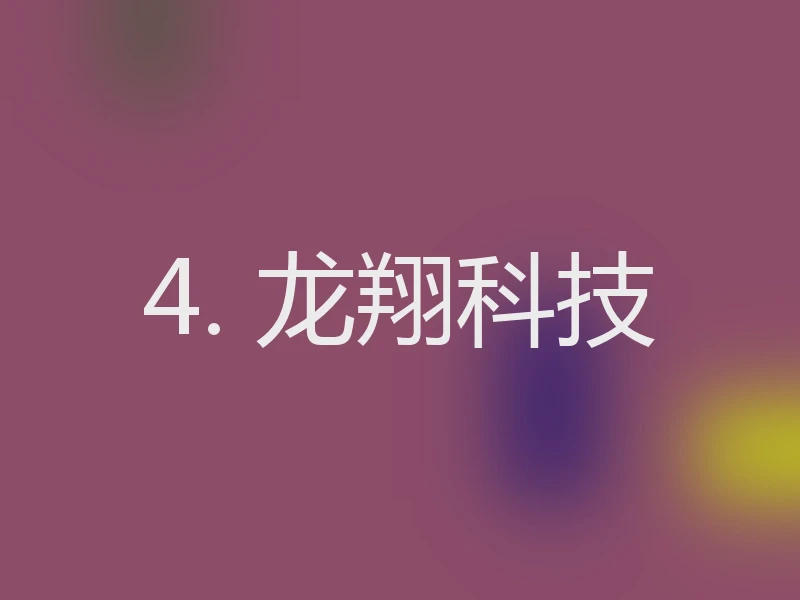 4. 龙翔科技