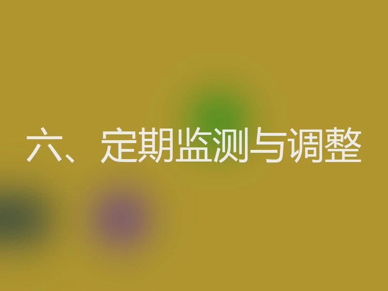 六、定期监测与调整