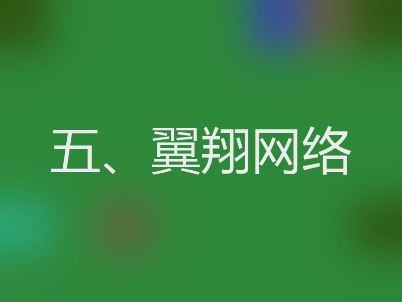 五、翼翔网络