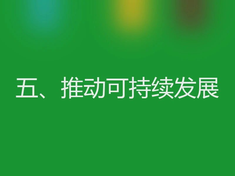五、推动可持续发展