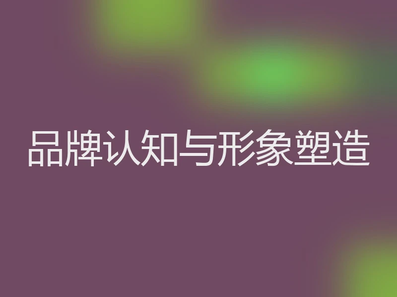 品牌认知与形象塑造