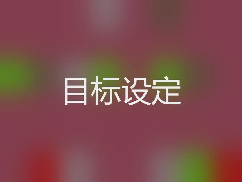 目标设定