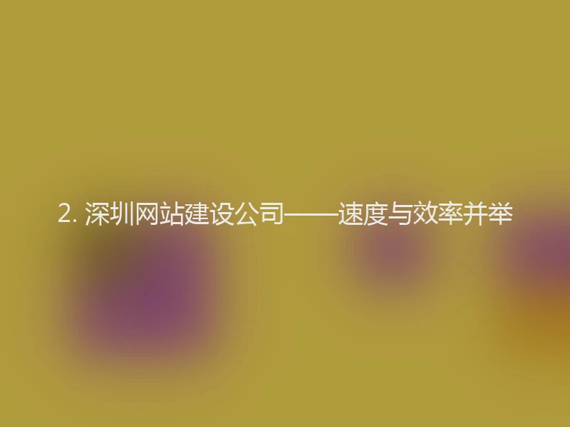 2. 深圳网站建设公司——速度与效率并举