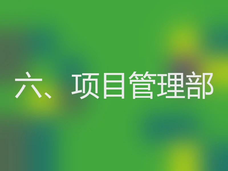 六、项目管理部