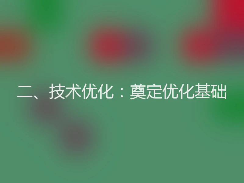 二、技术优化:奠定优化基础
