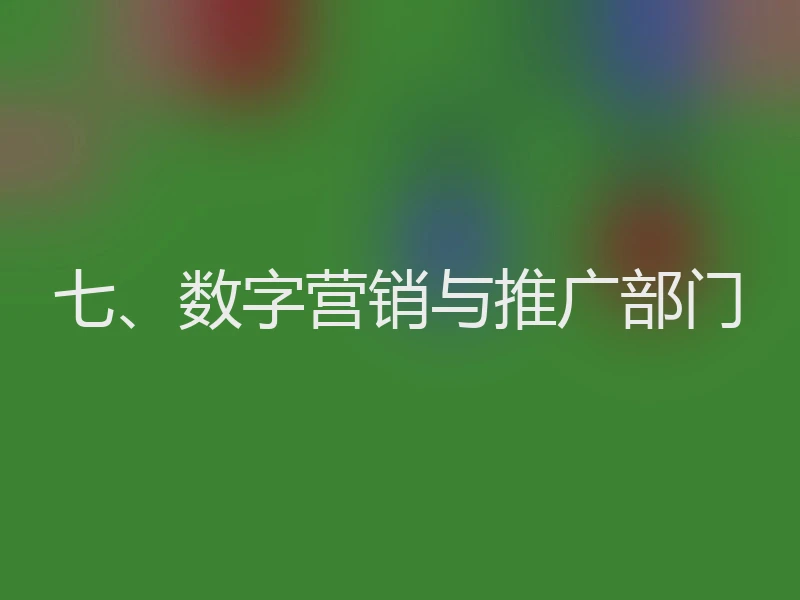七、数字营销与推广部门