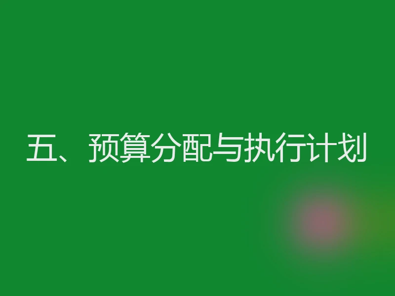 五、预算分配与执行计划