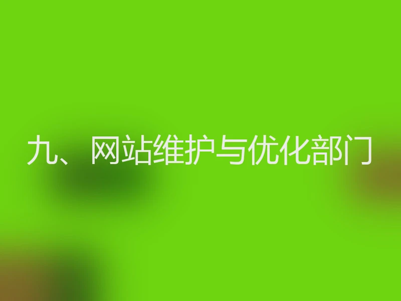 九、网站维护与优化部门
