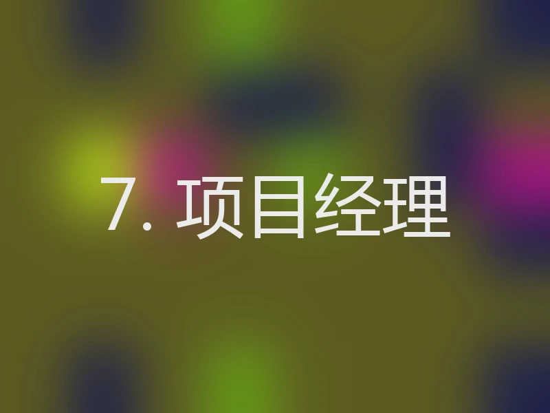 7. 项目经理
